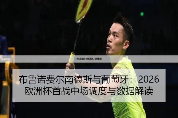 bu-lu-nuo-fei-er-nan-de-si-yu-pu-tao-ya-ou-zhou-bei-shou-zhan-zhong-chang-diao-du-yu-shu-ju-jie-du-2-652.jpg