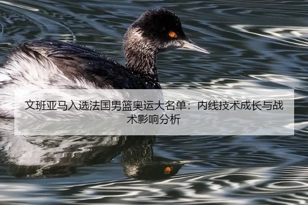 文班亚马入选法国男篮奥运大名单：内线技术成长与战术影响分析
